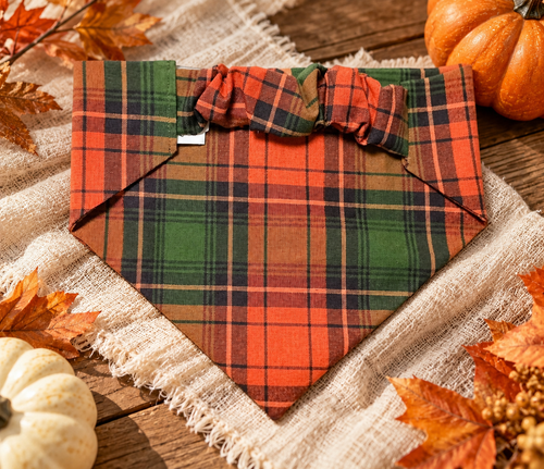 Autumn Harvest Plaid