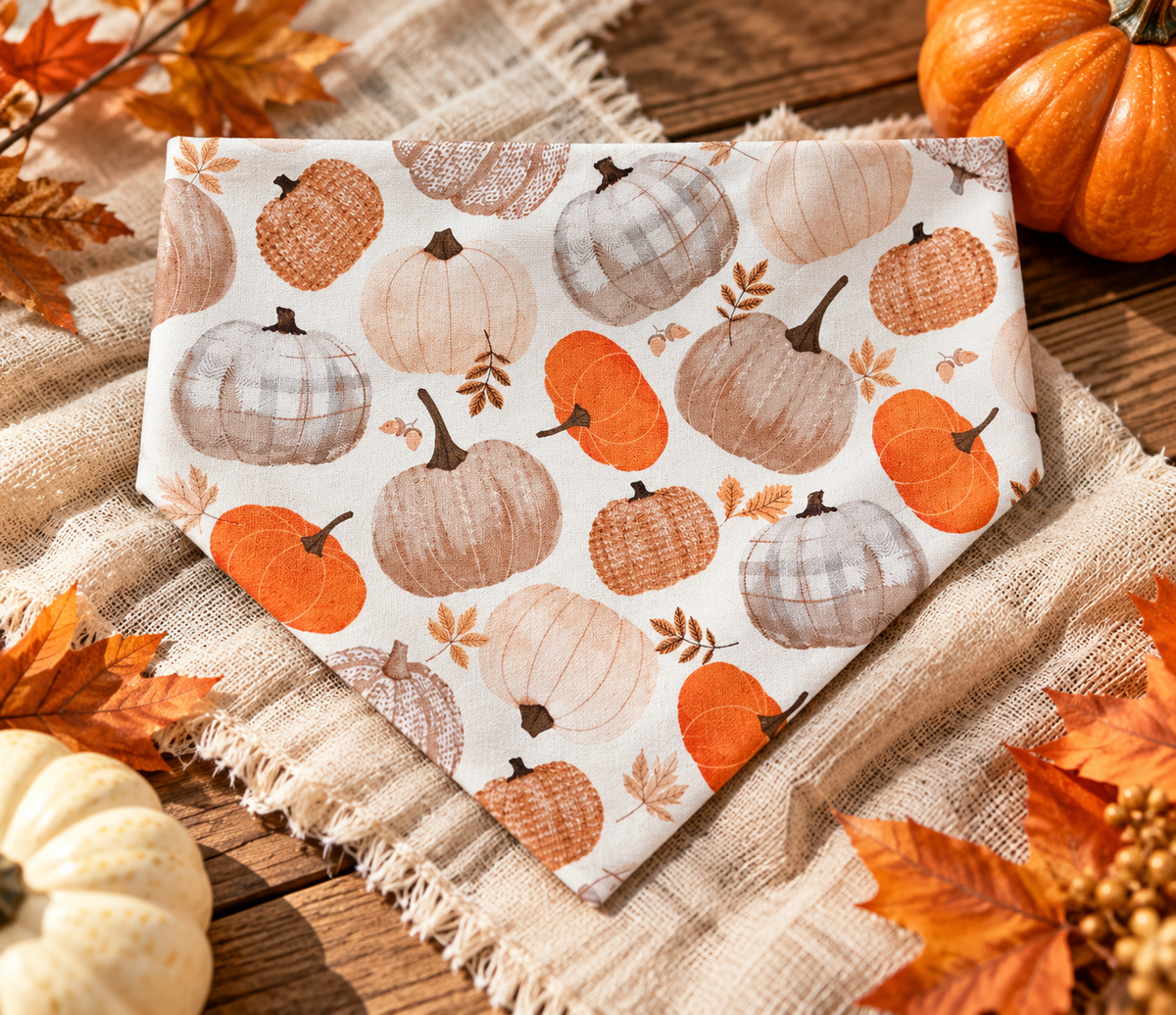Pumpkin Harvest