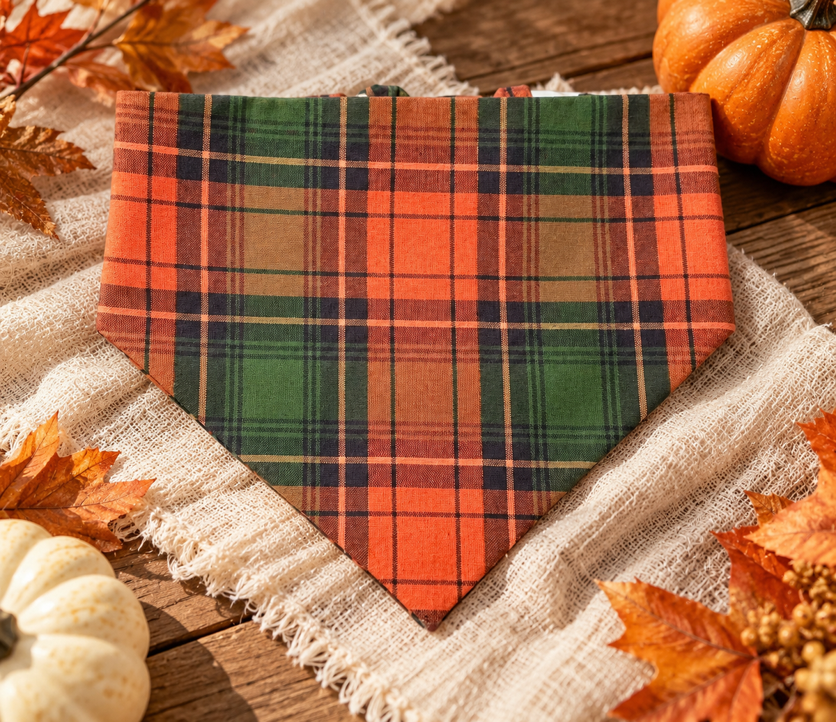 Autumn Harvest Plaid