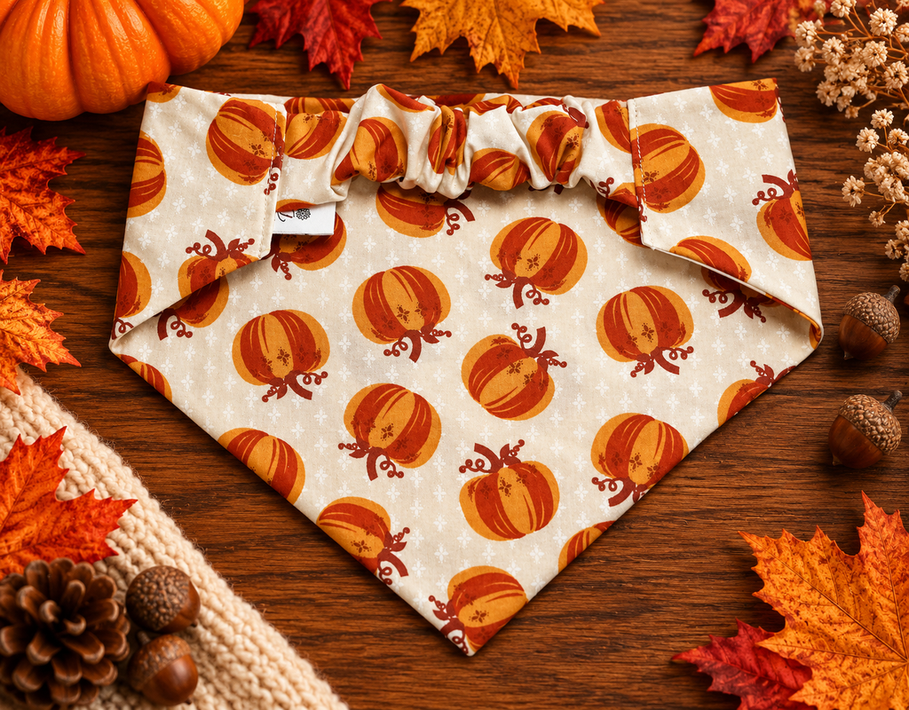 Pumpkin Spice & Everything Nice