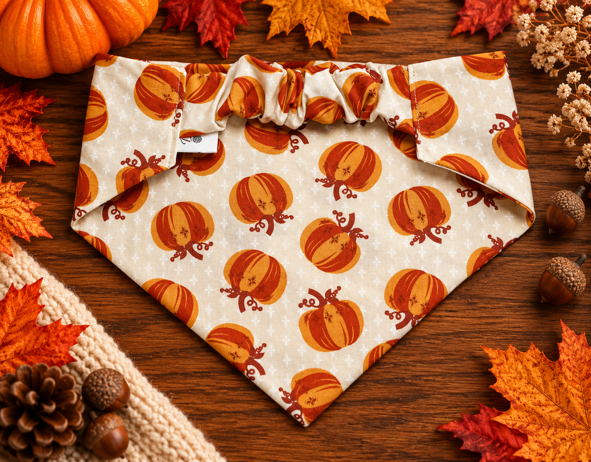 Pumpkin Spice & Everything Nice