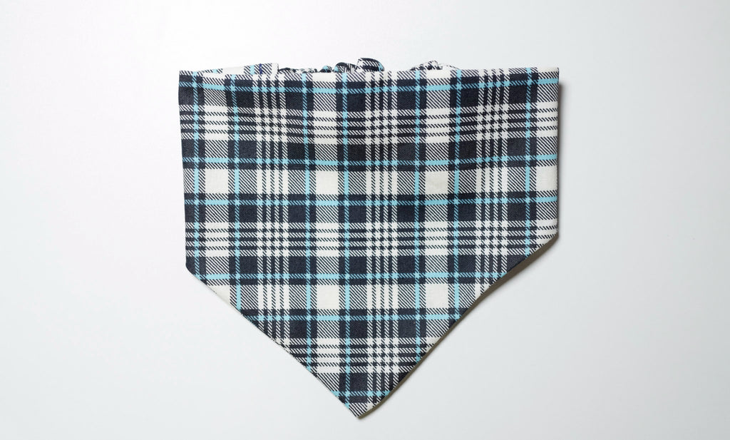 Blue Plaid Doggy Bandana