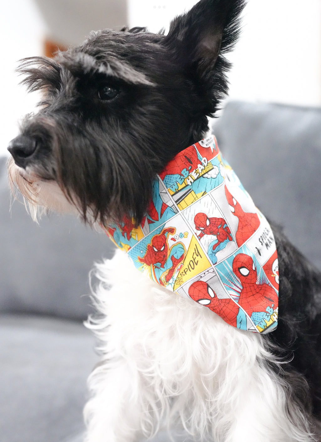 Spider Doggy Bandana