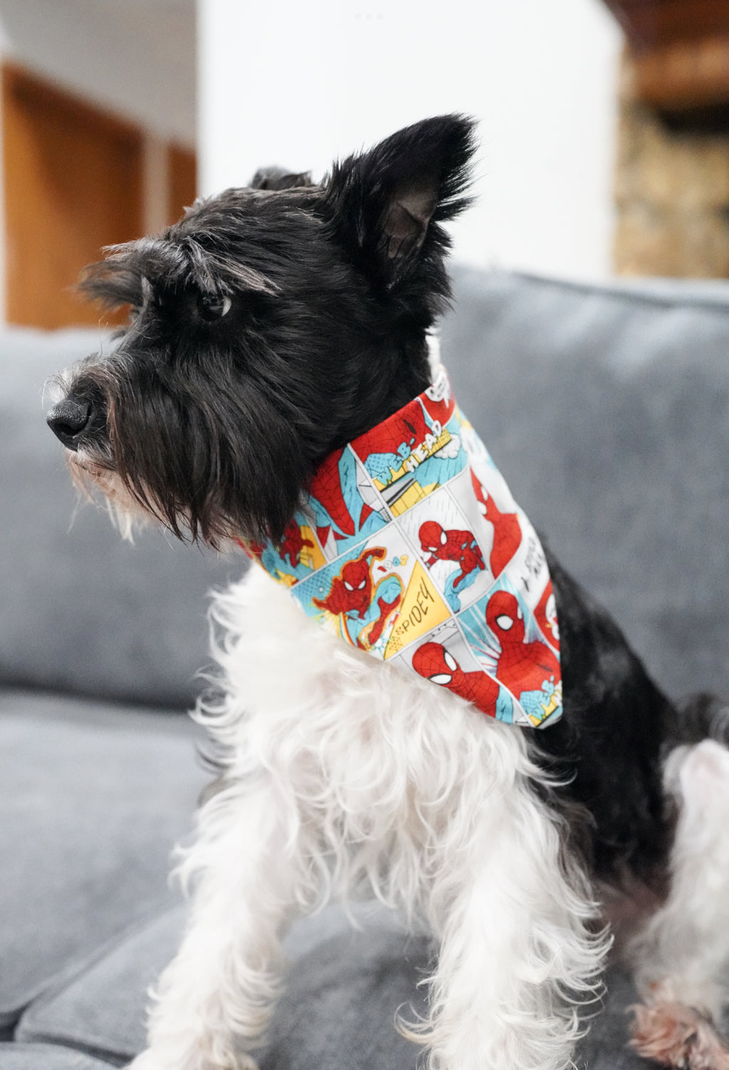 Spider Doggy Bandana