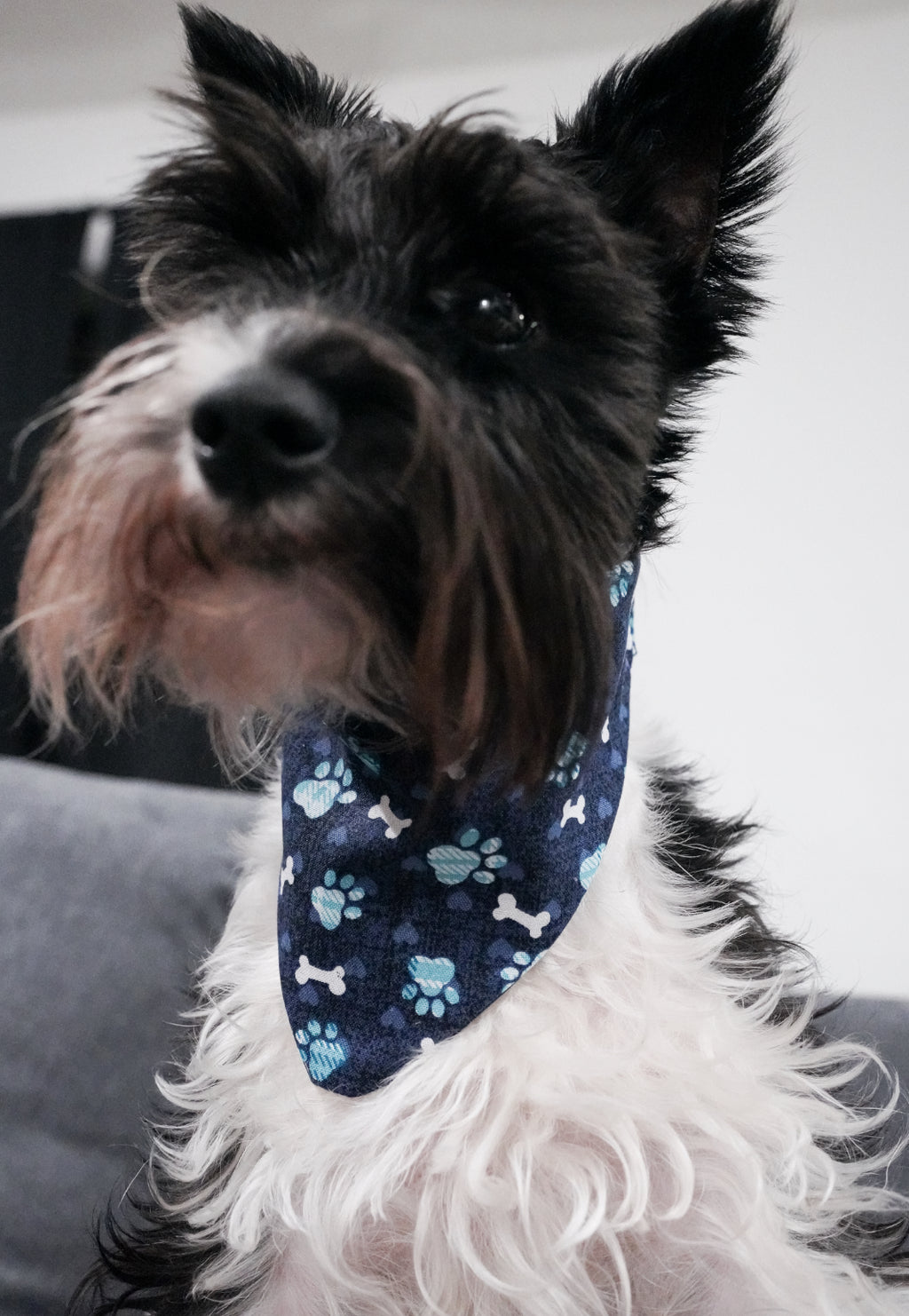 Dark blue paw print Doggy Bandana