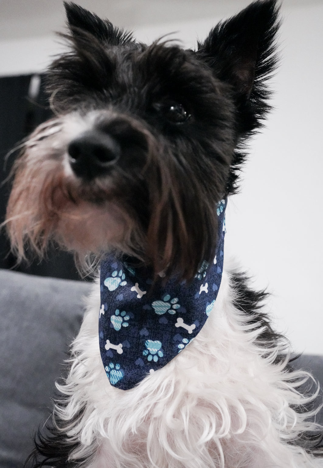 Dark blue paw print Doggy Bandana