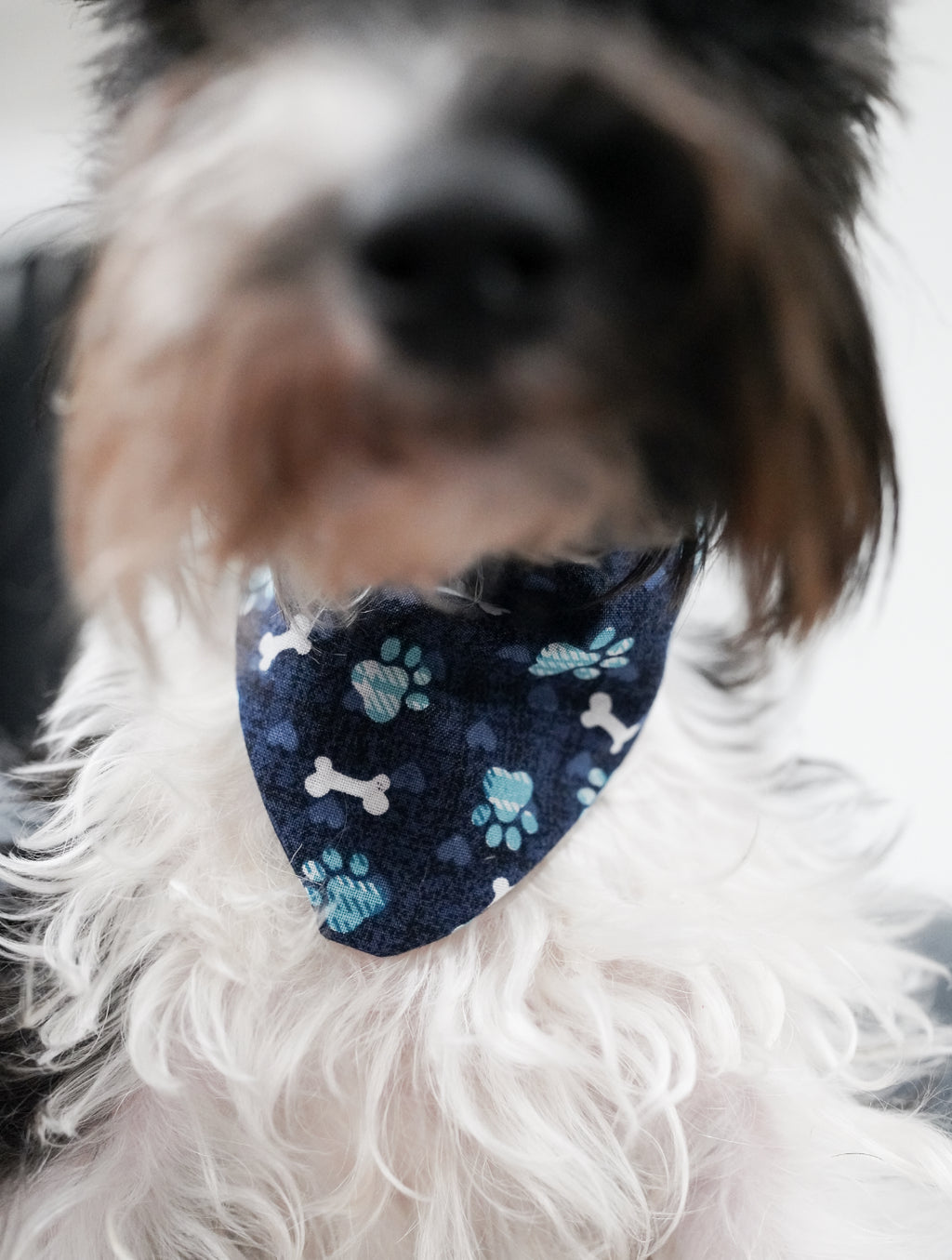 Dark blue paw print Doggy Bandana