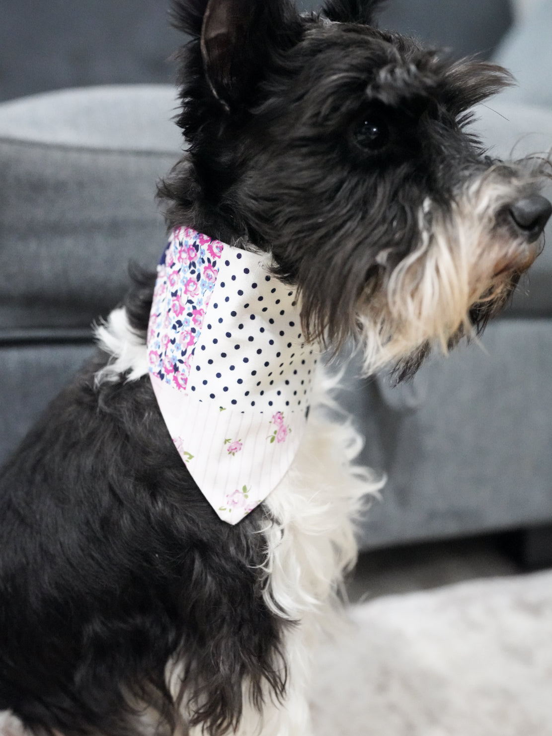 Pink Pattern Doggy Bandana