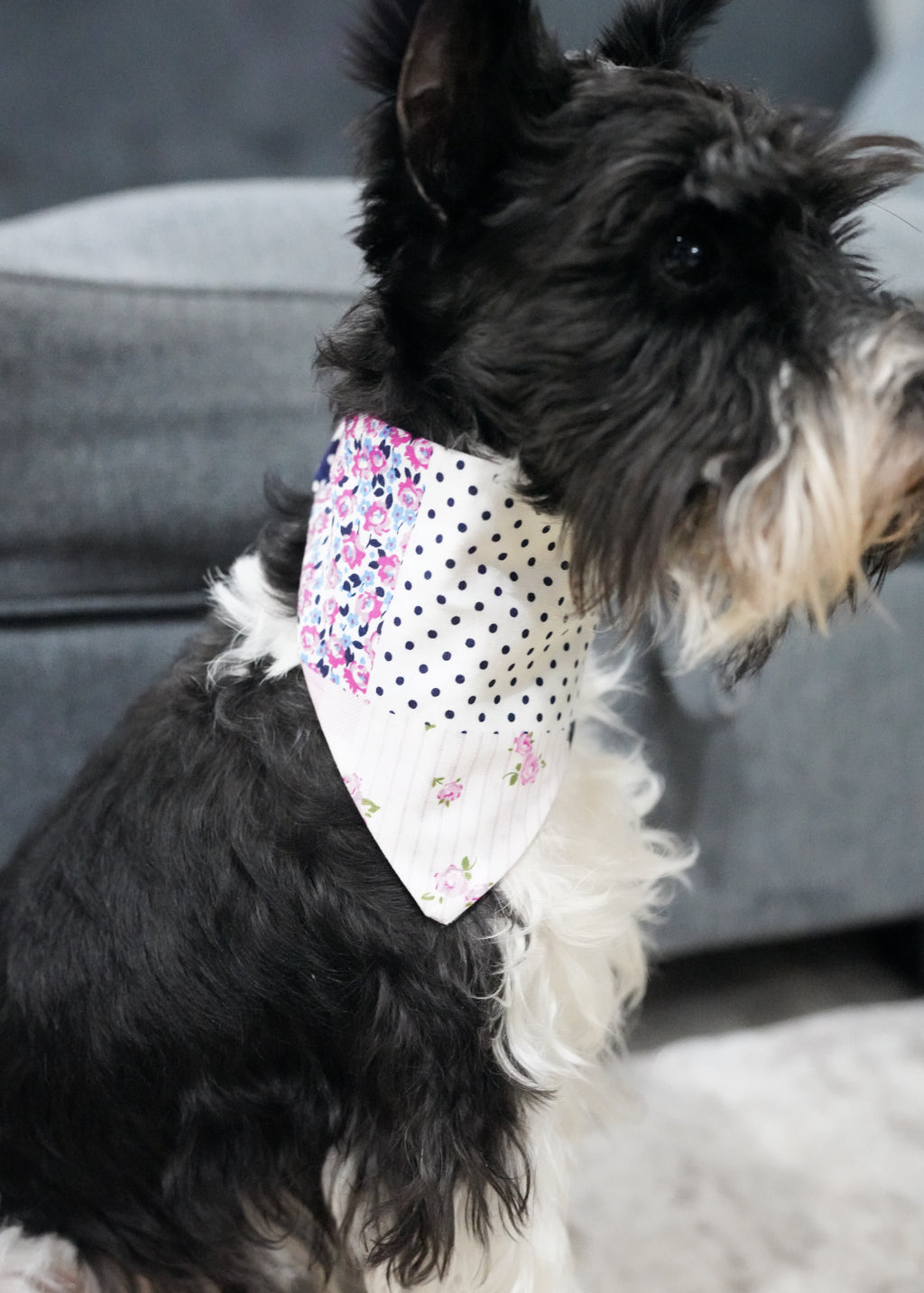 Pink Pattern Doggy Bandana