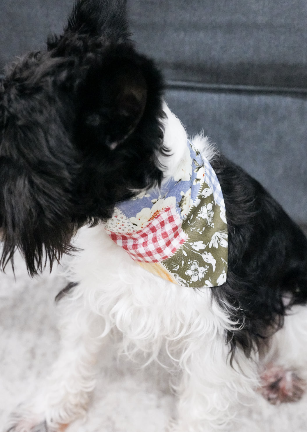 Pattern Doggy Bandana