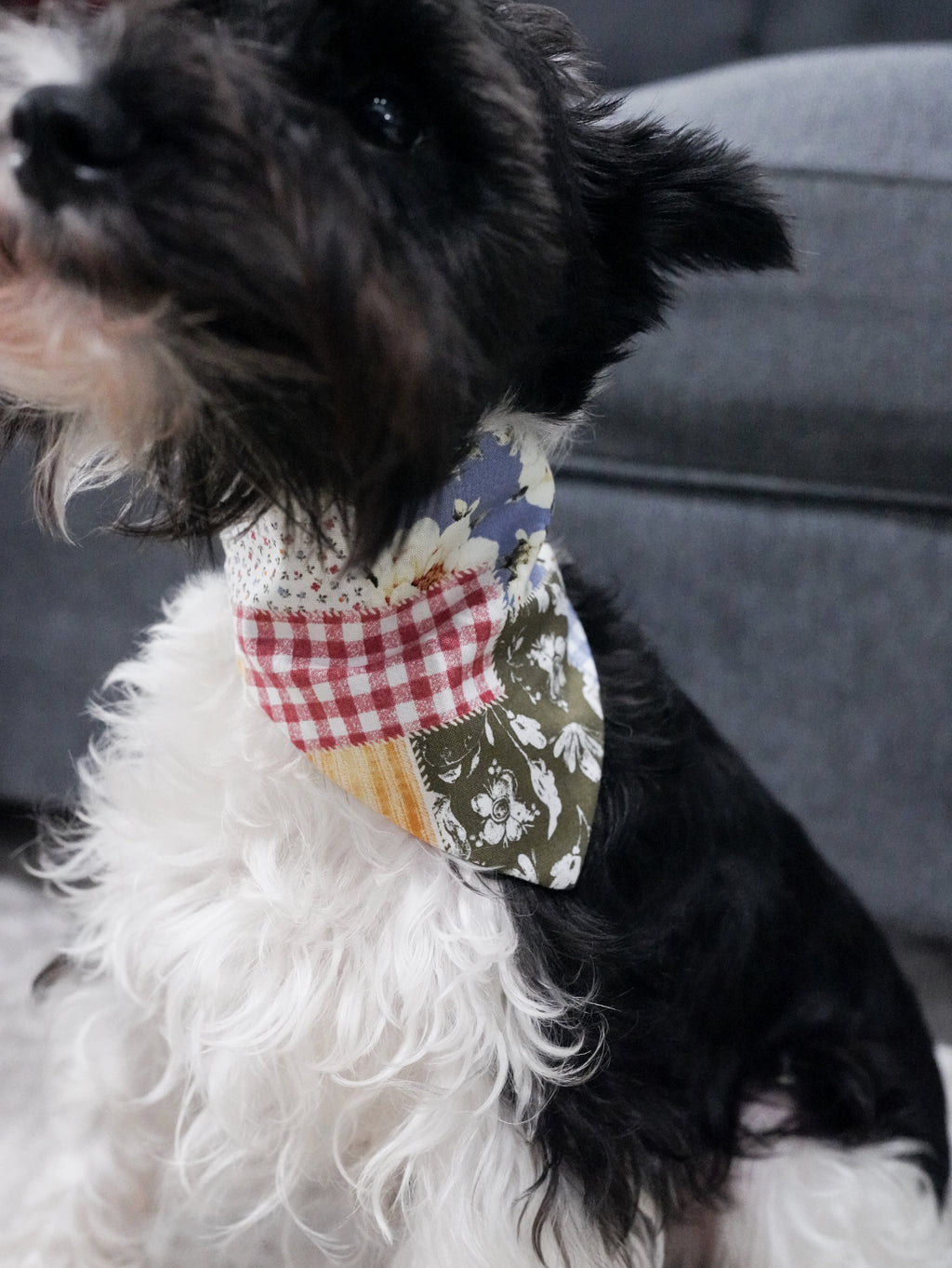 Pattern Doggy Bandana