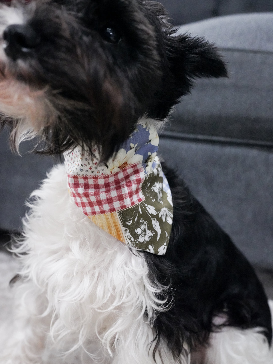 Pattern Doggy Bandana