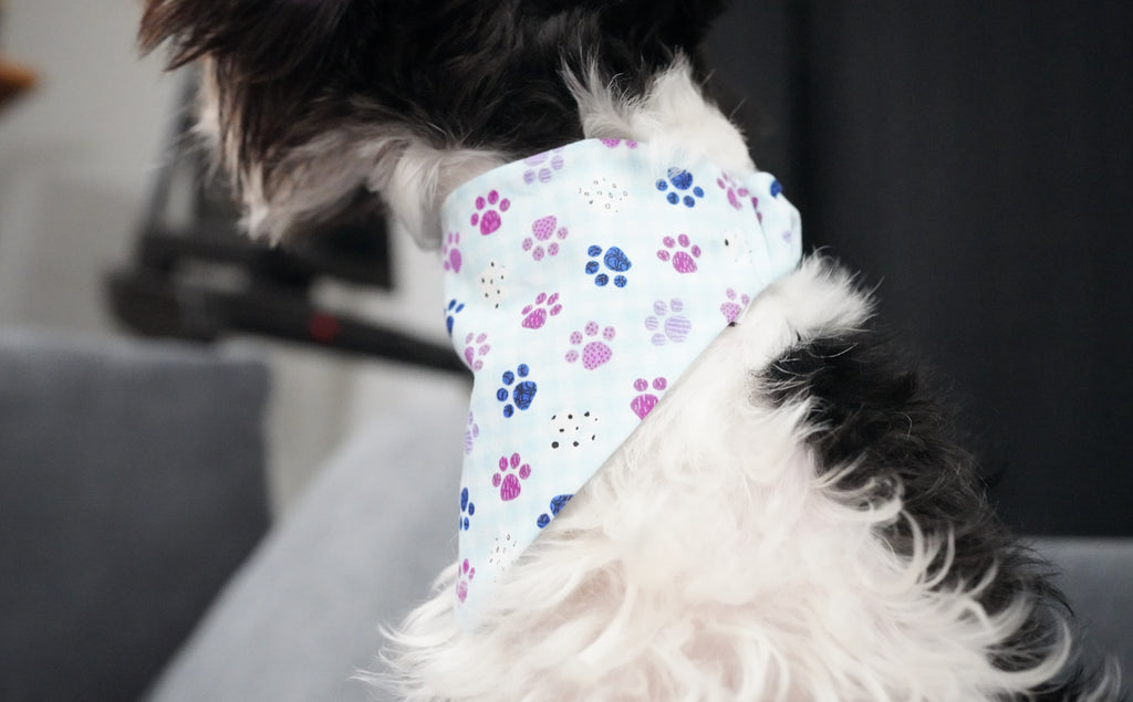 Light blue paw print
