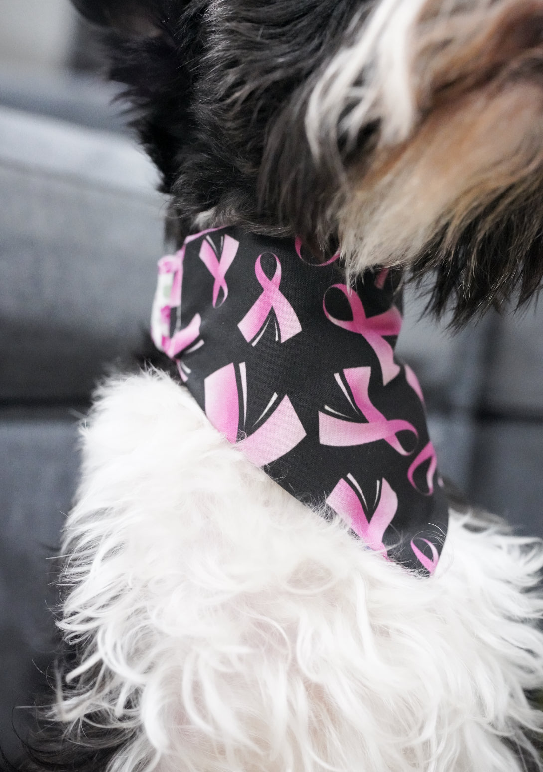 Cancer and pink Mixed Doggy Bandana