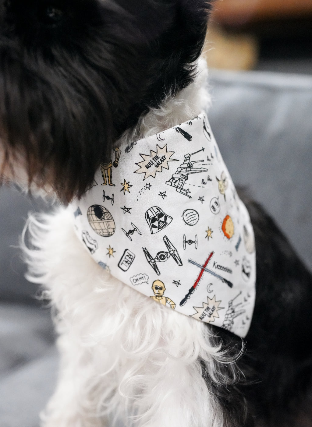 Galaxy Doggy Bandana