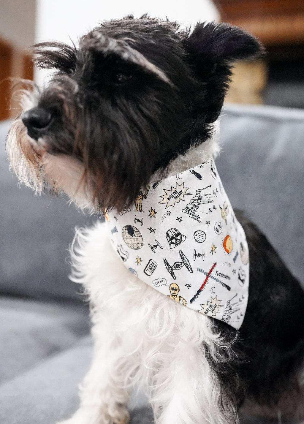 Galaxy Doggy Bandana