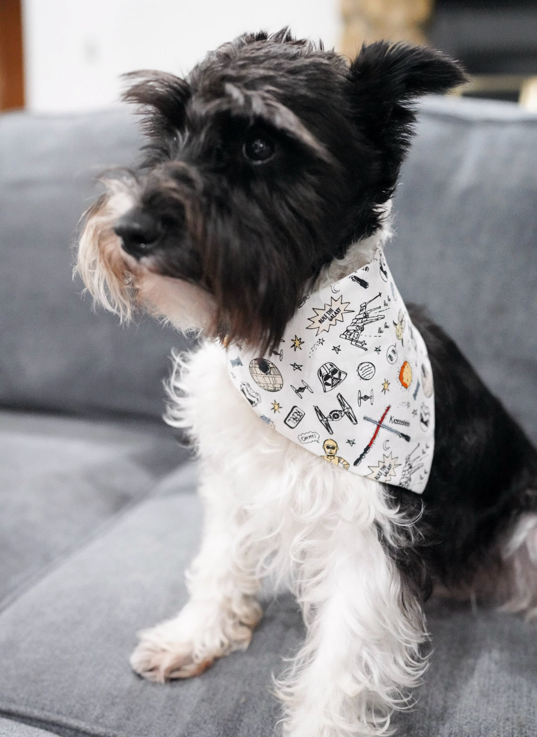 Galaxy Doggy Bandana