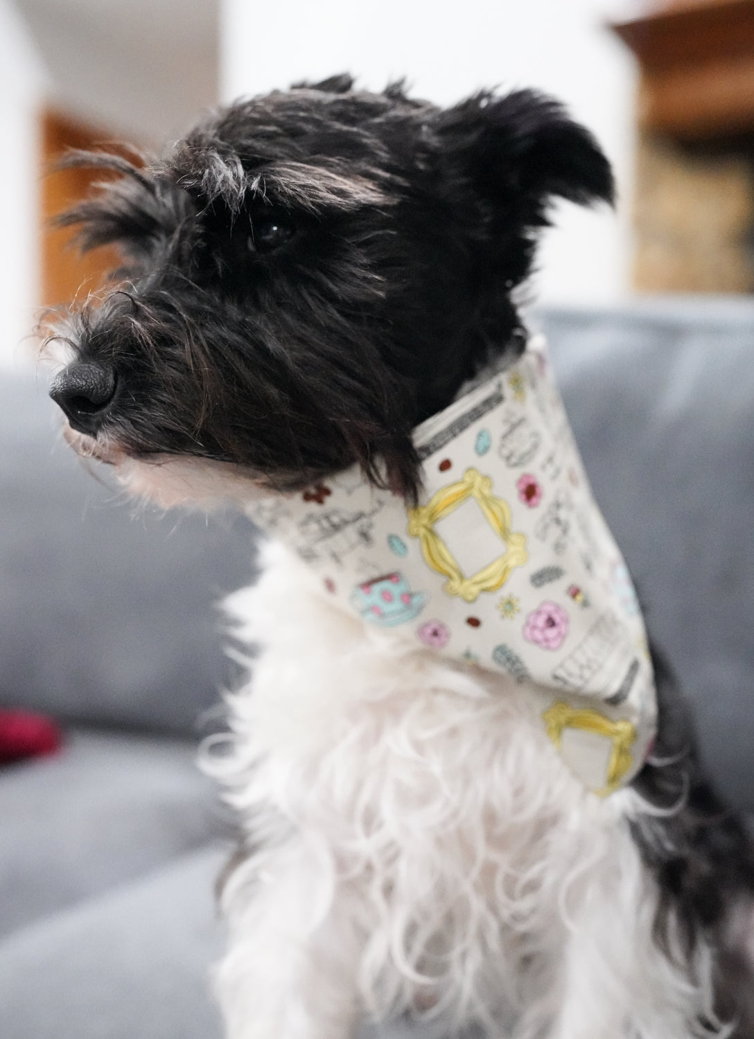 Friendship Doggy Bandana
