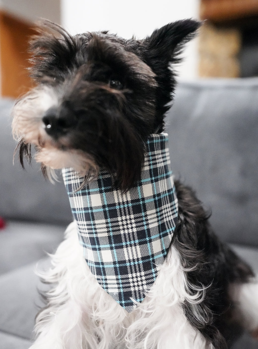 Blue Plaid Doggy Bandana