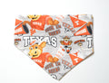 Burnt Orange College Doggy Bandana