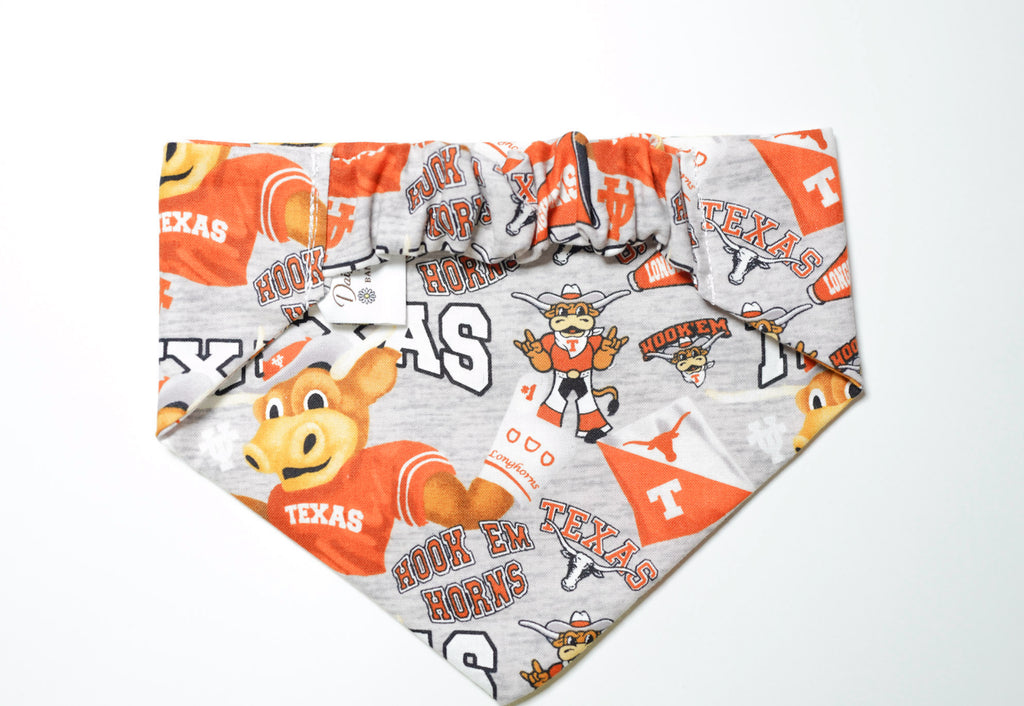 Burnt Orange College Doggy Bandana