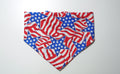 Flag Doggy Bandana