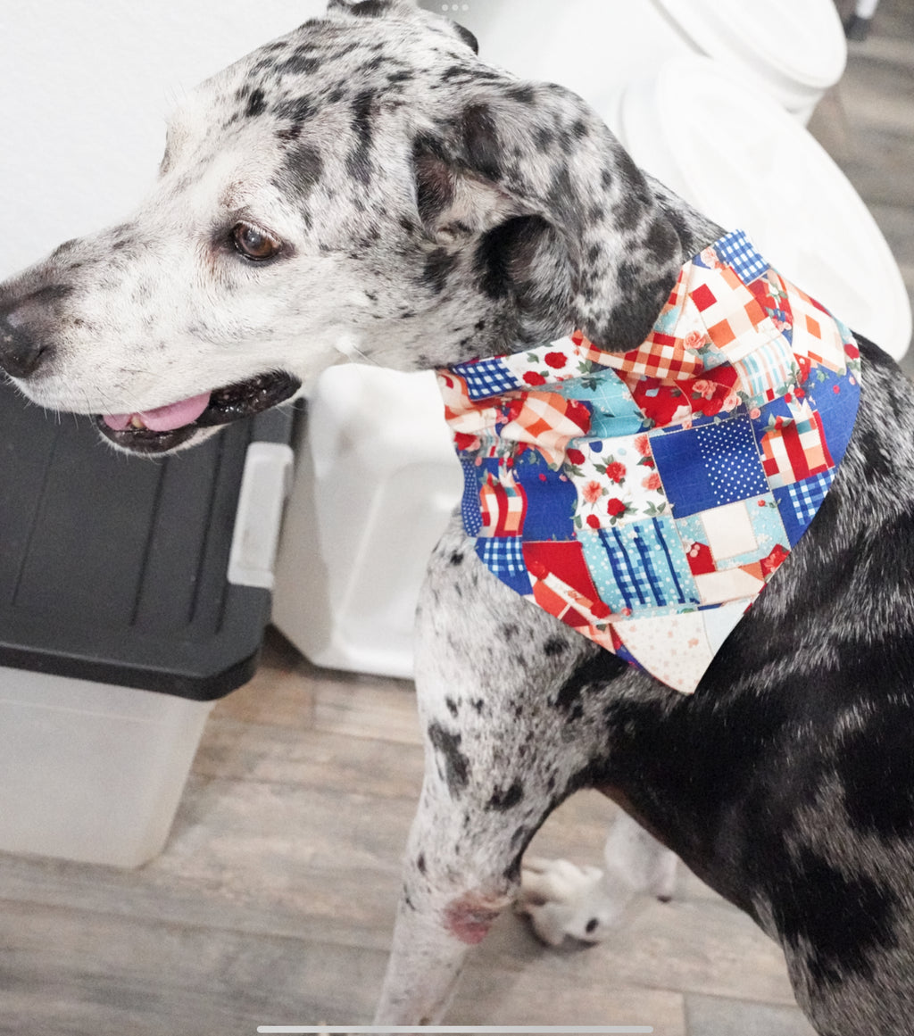 Blue/Red Doggy Bandana