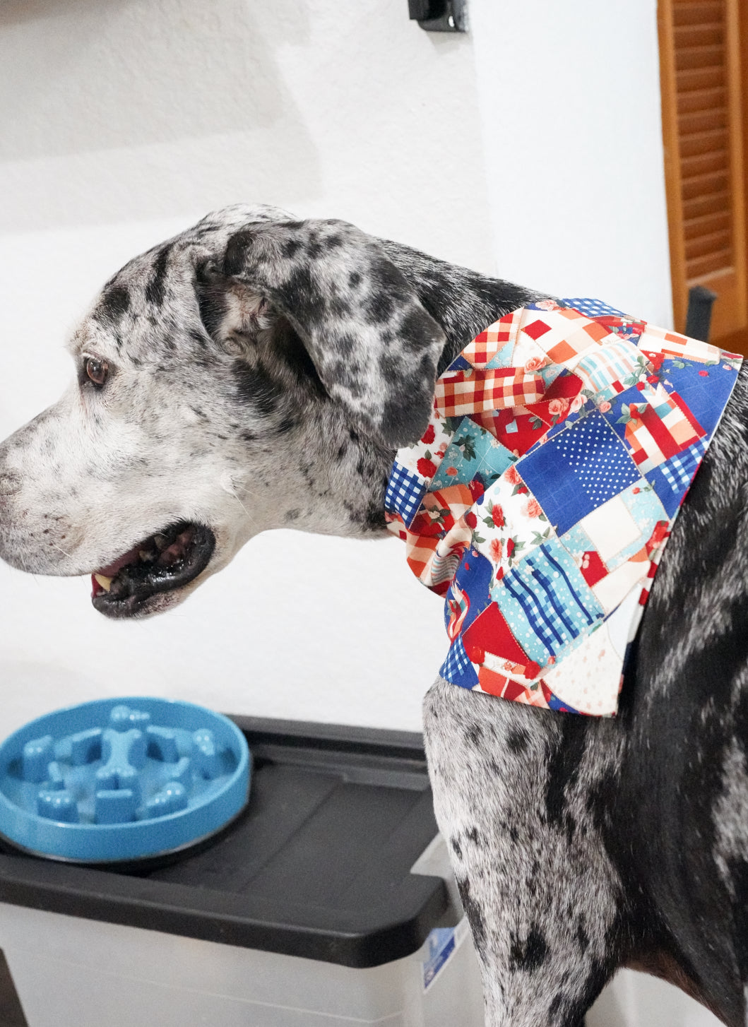 Blue/Red Doggy Bandana