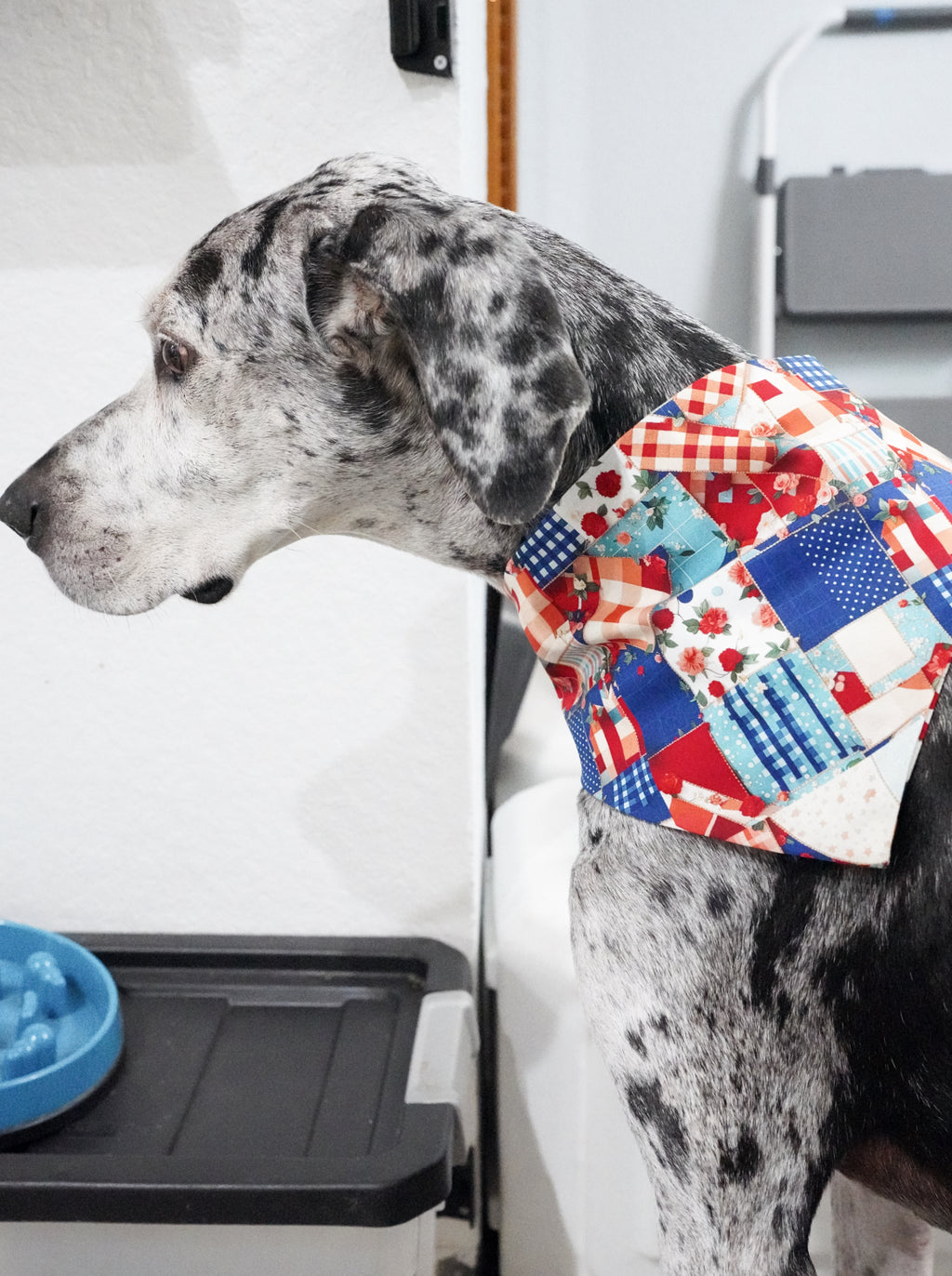 Blue/Red Doggy Bandana