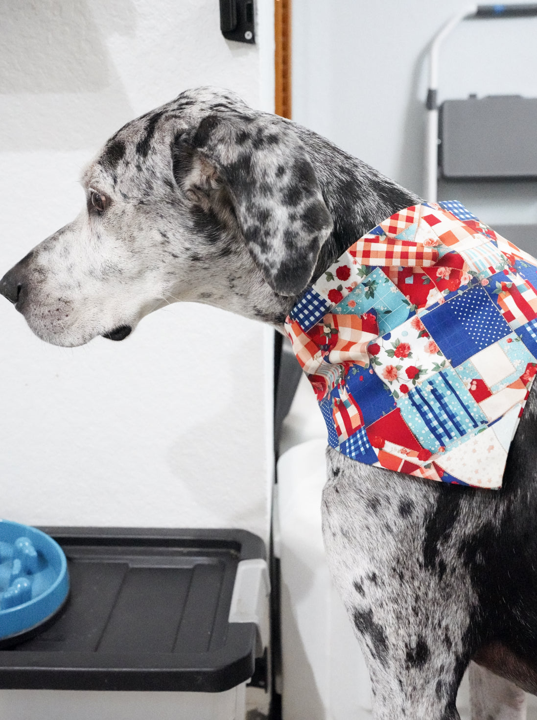 Blue/Red Doggy Bandana