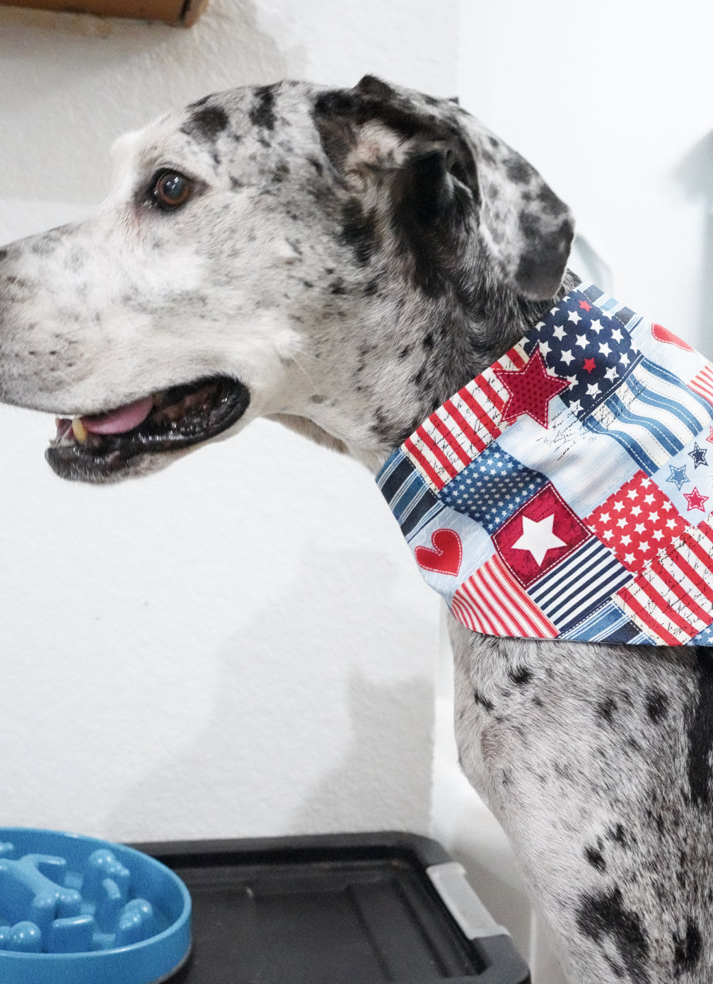 4th of July Doggy Bandana
