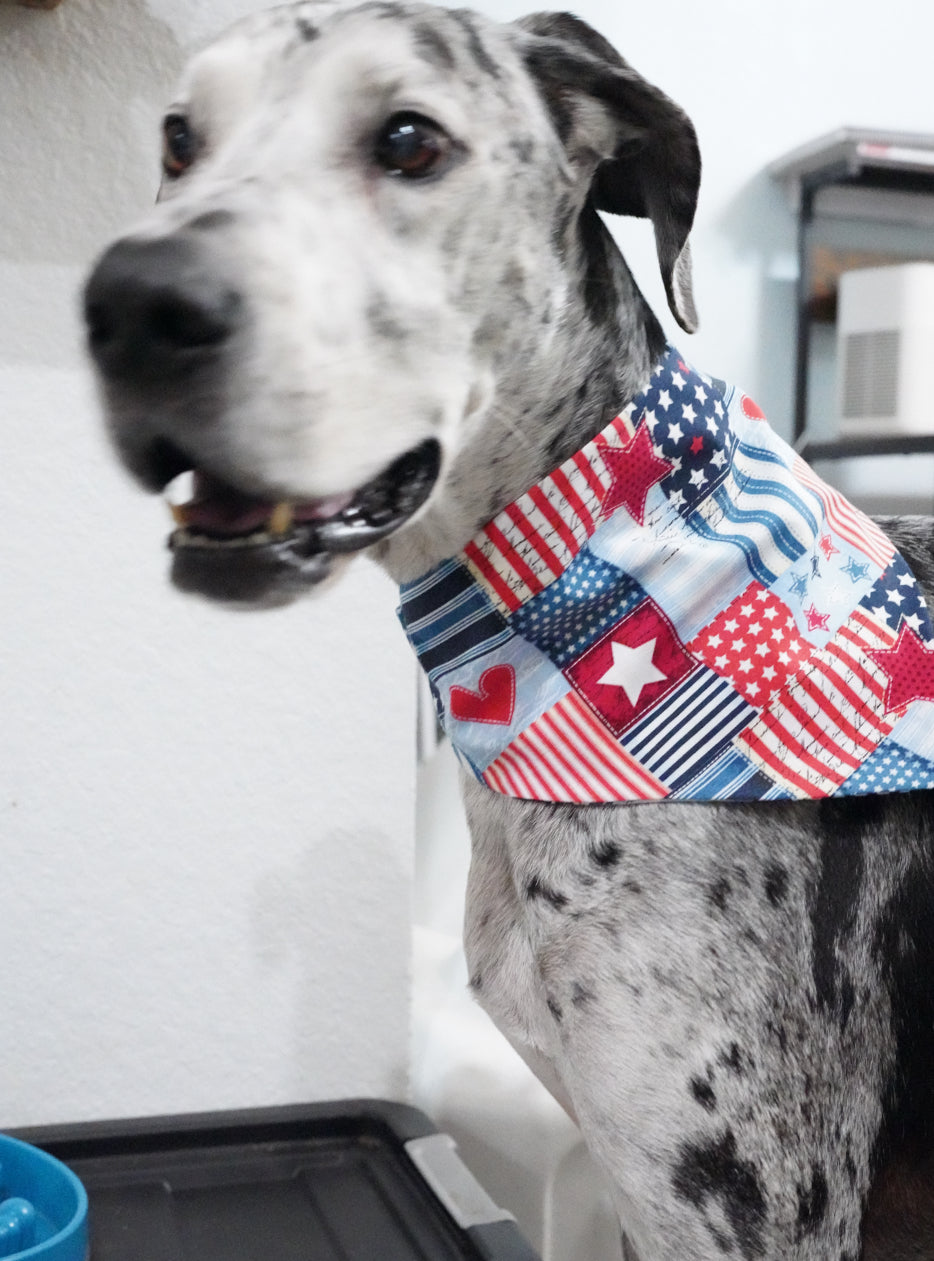 4th of July Doggy Bandana