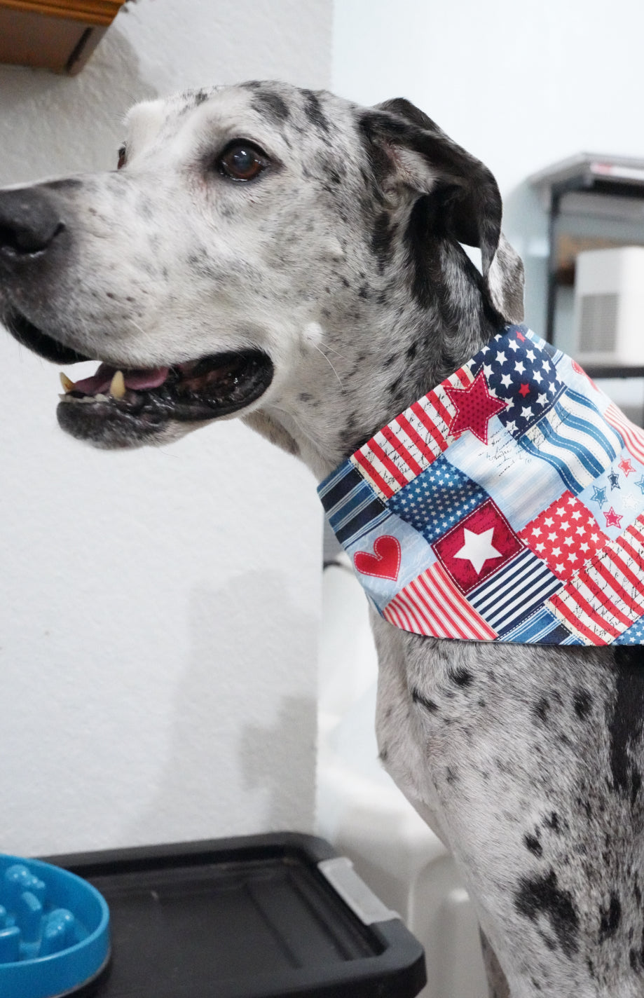 4th of July Doggy Bandana