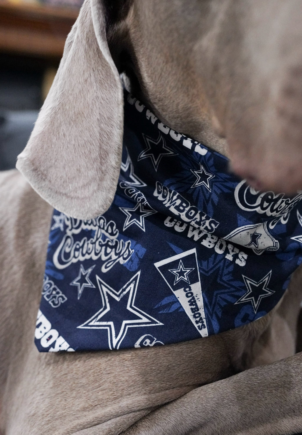 Cowboys Doggy Bandana